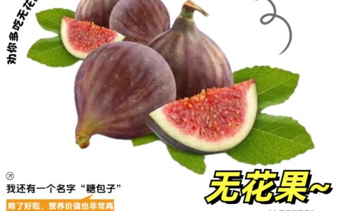 泽兰主要药用功效与作用及禁忌-泽兰主要药用功效与作用网 - 为你提供泽兰功效和作用主治与用量、泽兰的主要功效和作用