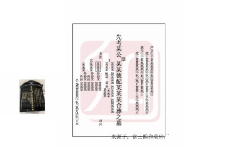 泽兰主要药用功效与作用网 - 为你提供泽兰功效和作用主治与用量、泽兰的主要功效和作用