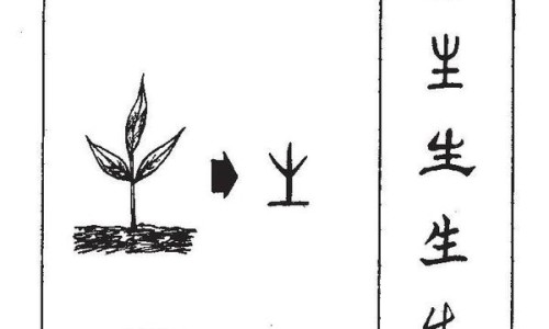 泽兰主要药用功效与作用及禁忌-泽兰主要药用功效与作用网 - 为你提供泽兰功效和作用主治与用量、泽兰的主要功效和作用